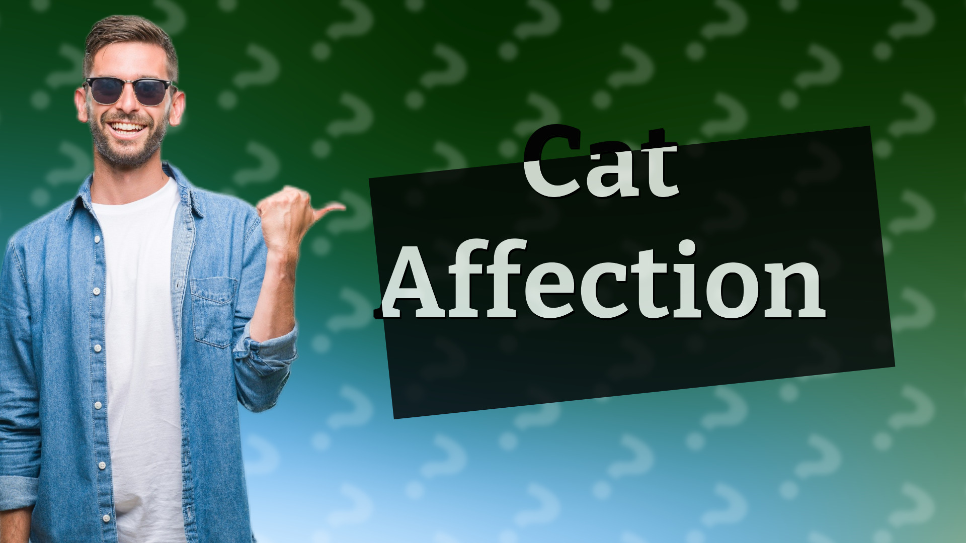 Cat Affection
