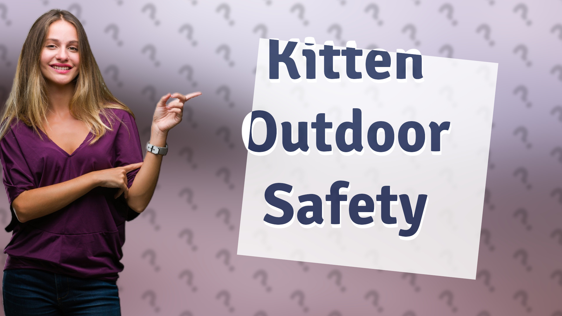 Kitten Outdoor Safety
