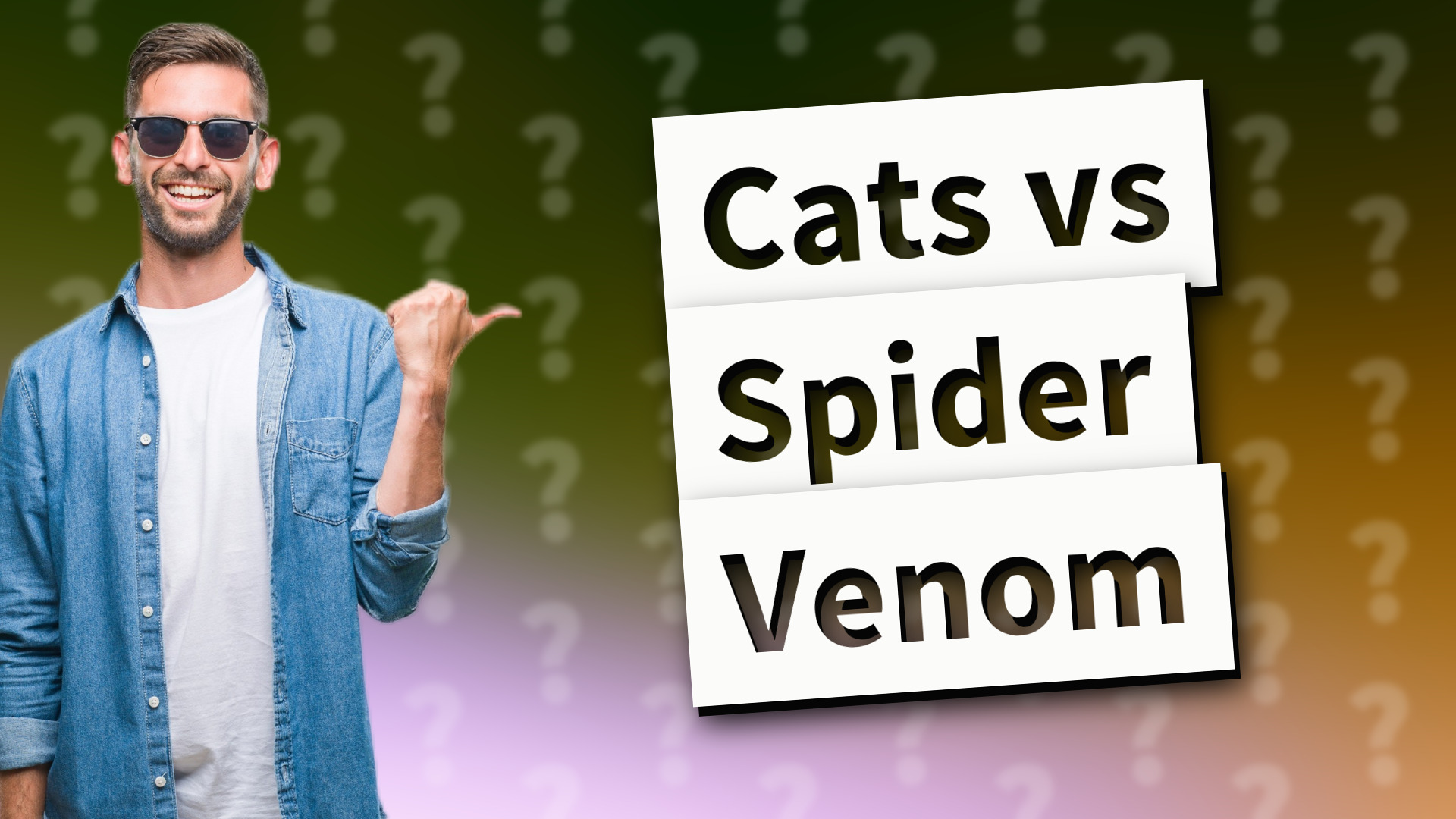 Cats vs Spider Venom