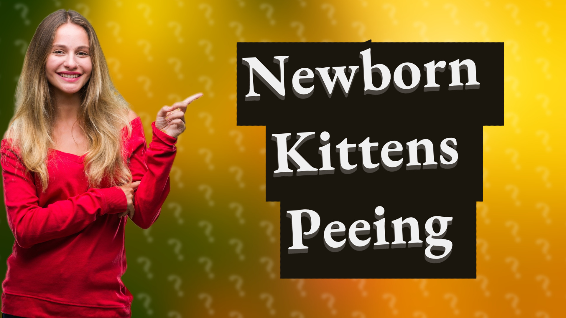 Newborn Kittens Peeing