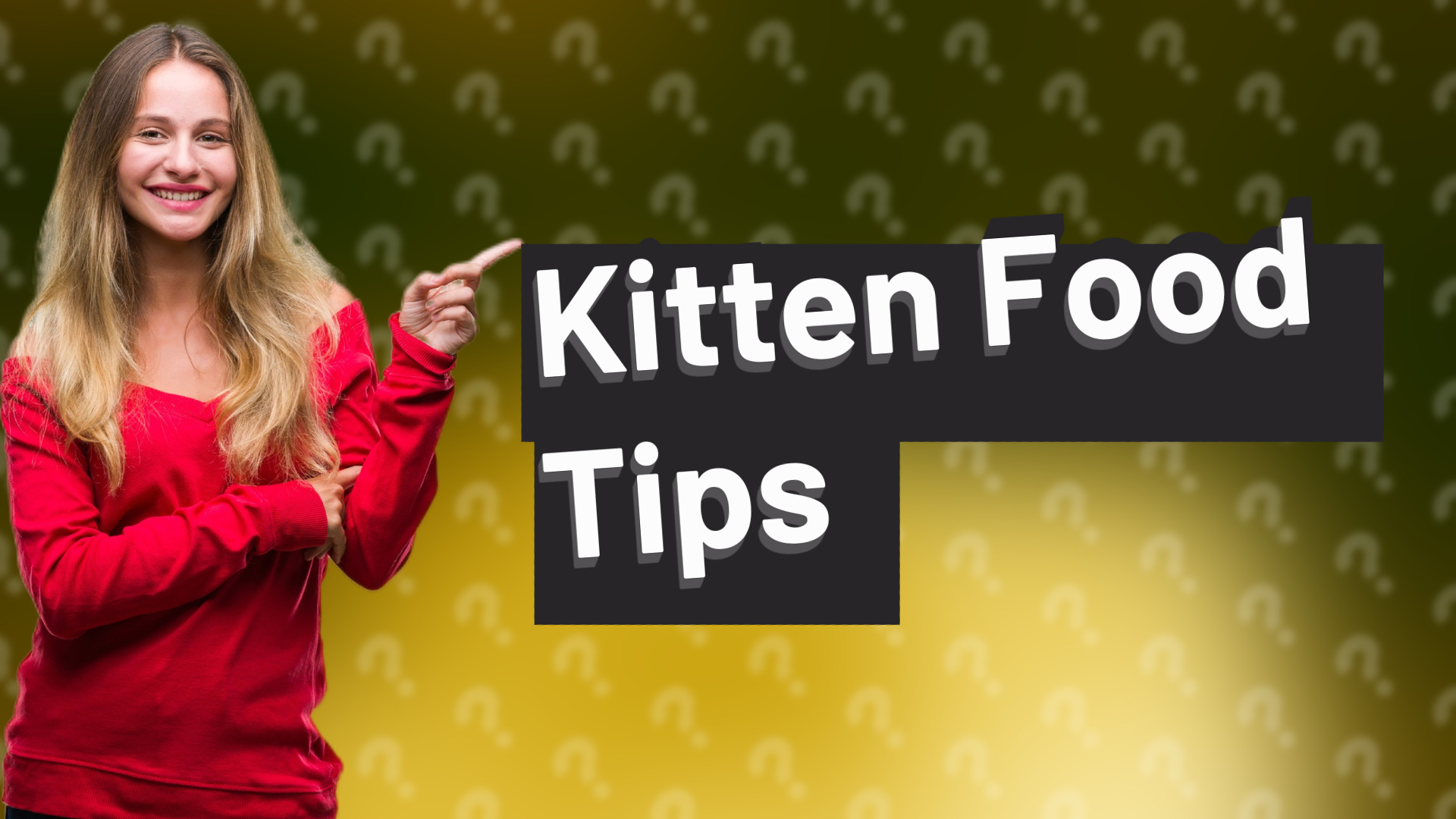 Kitten Food Tips