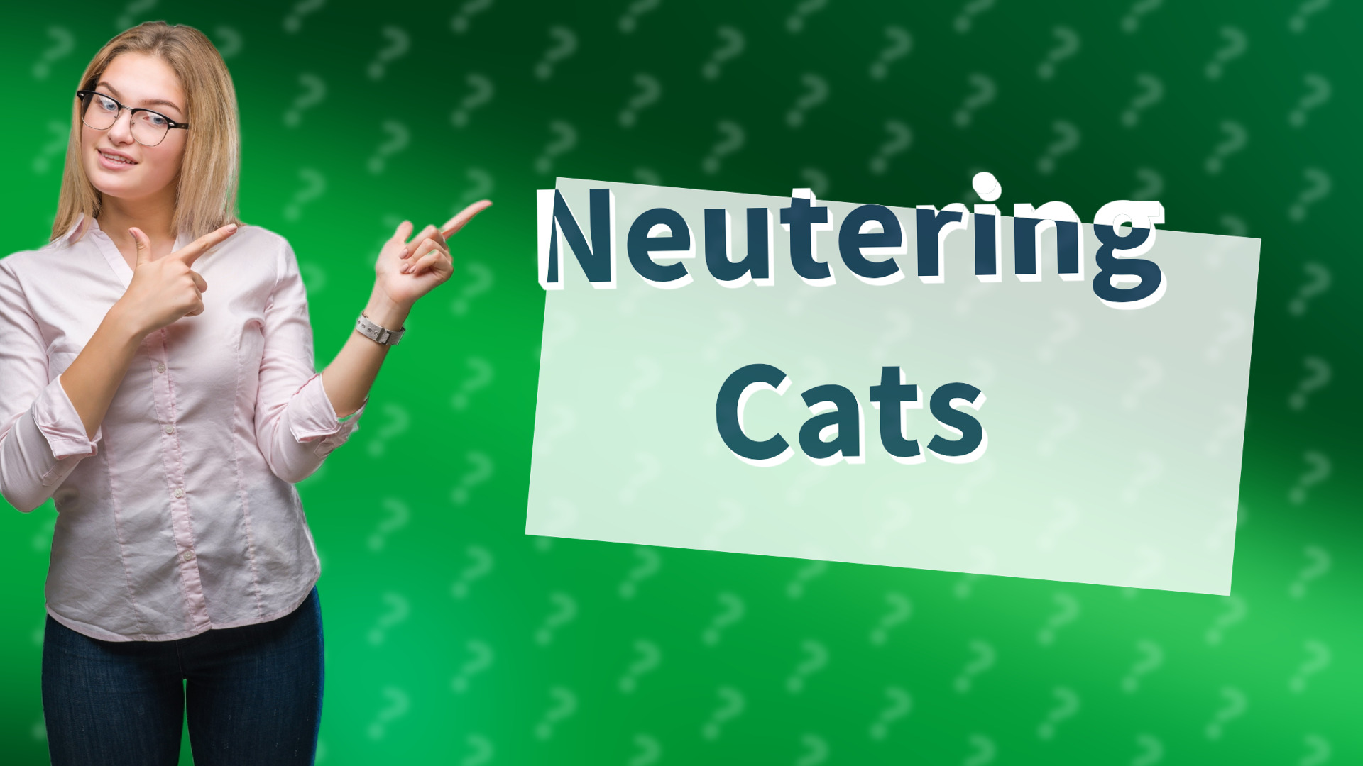 Neutering Cats