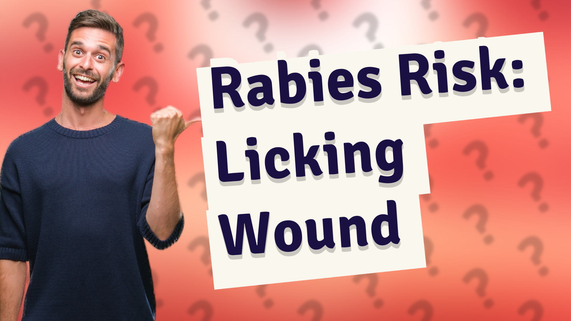 Rabies Risk: Licking Wound