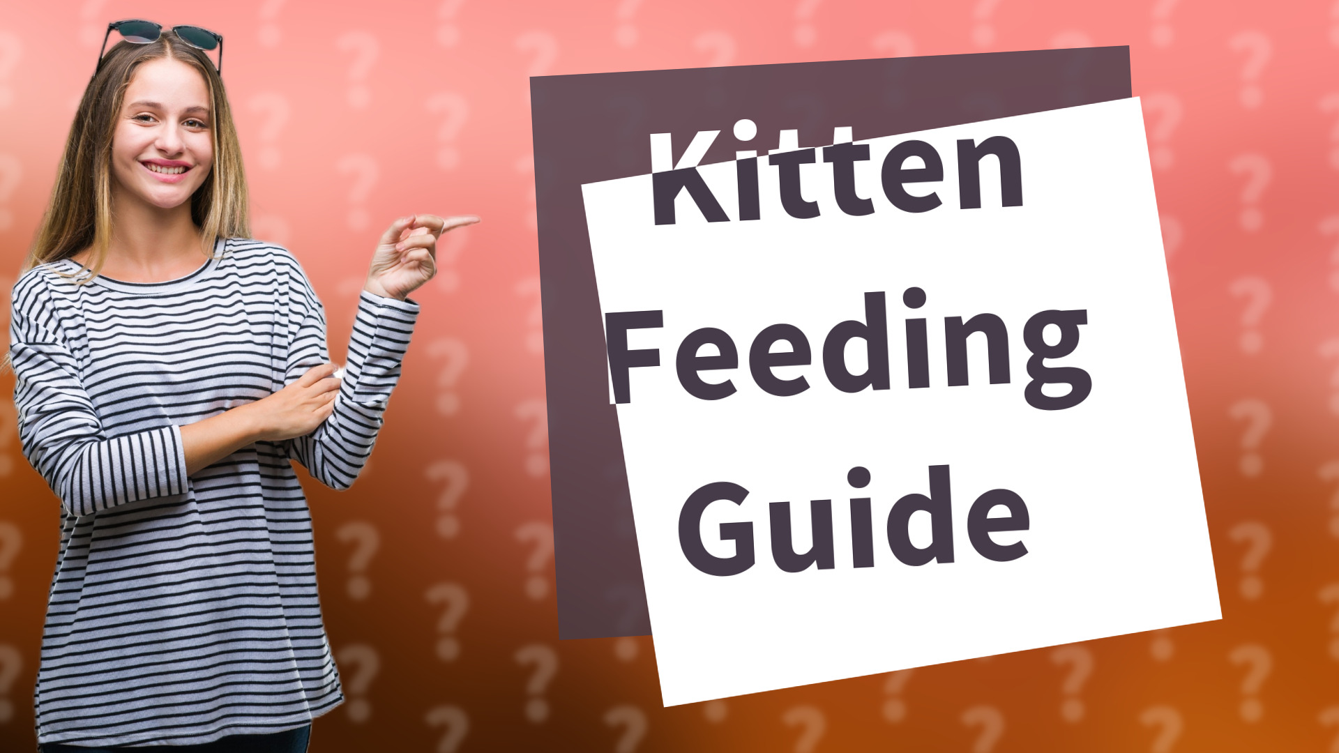 Kitten Feeding Guide