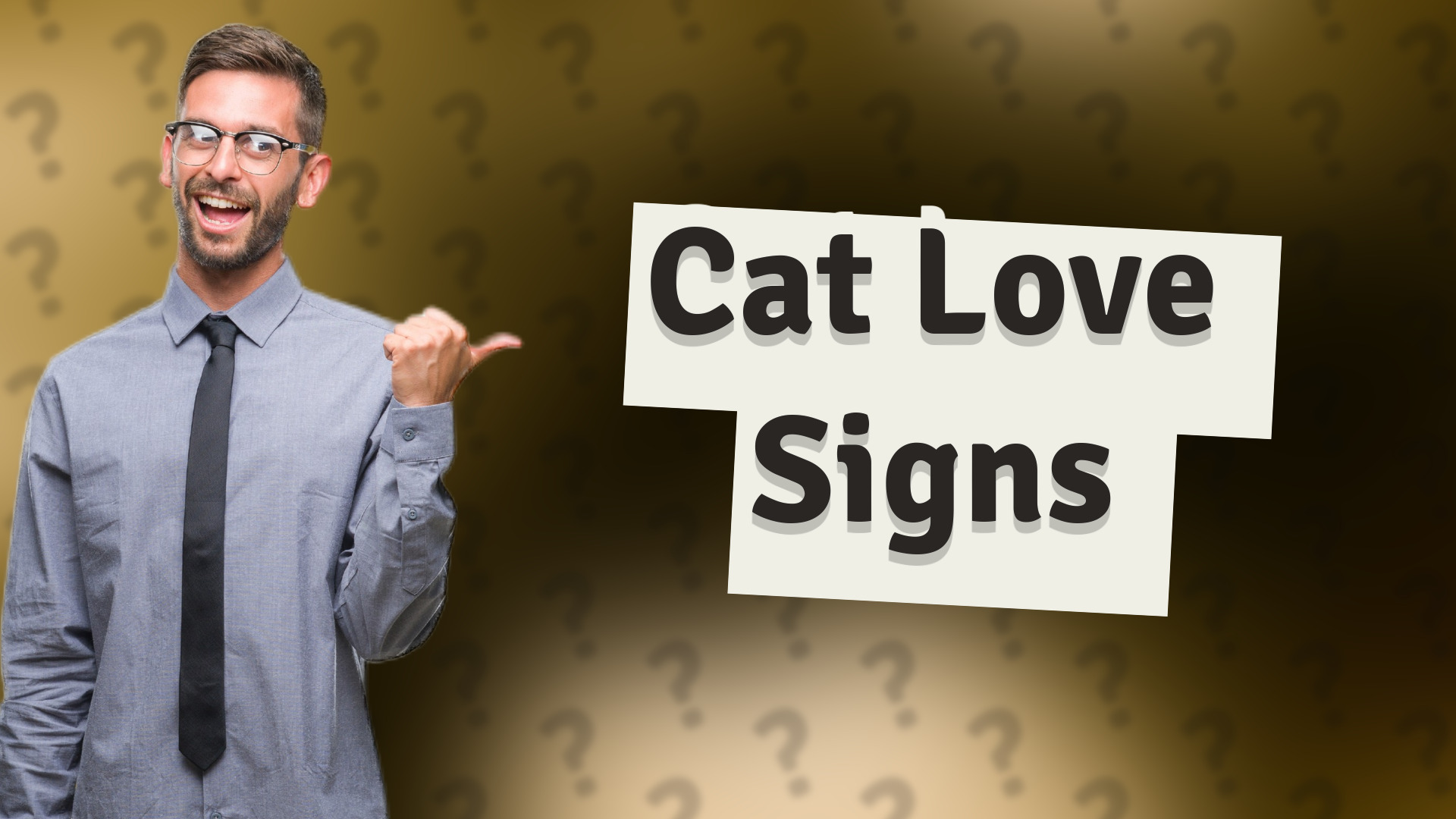 Cat Love Signs