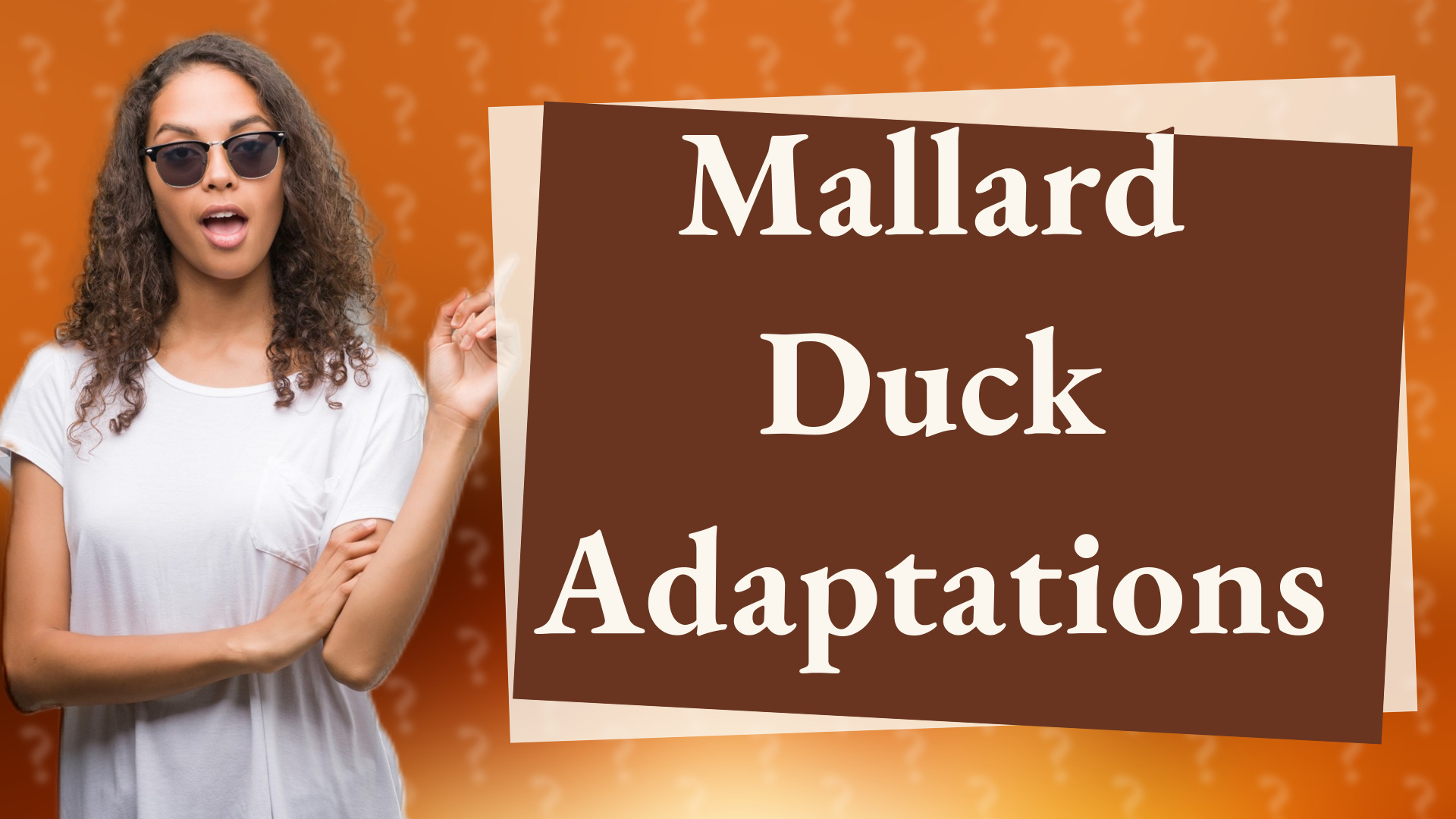 Mallard Duck Adaptations