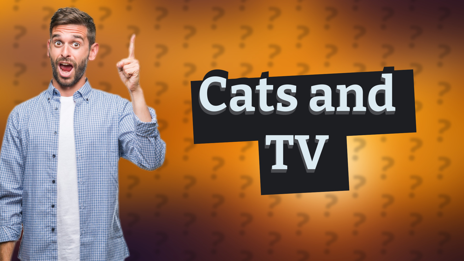 Cats and TV