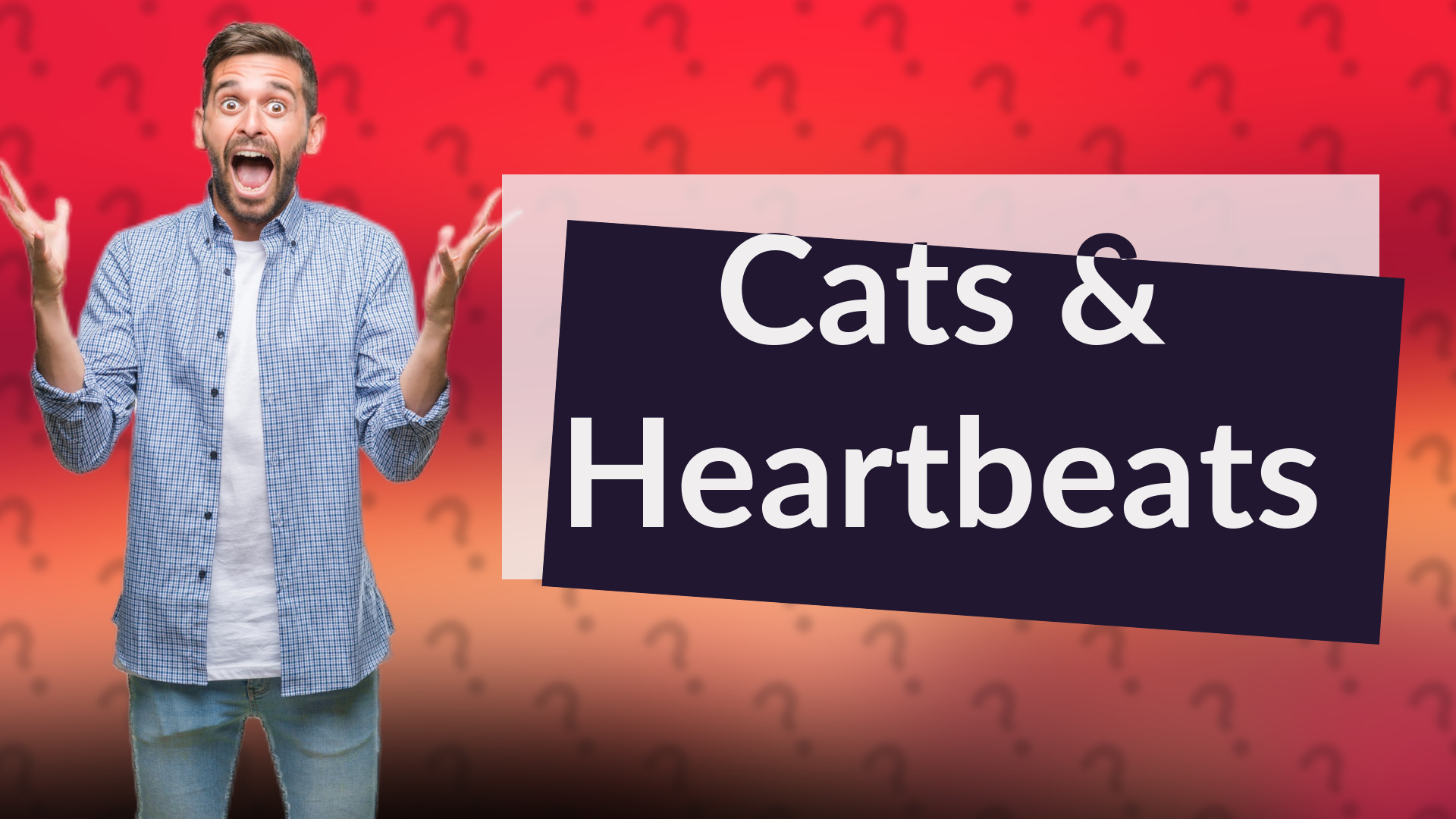 Cats & Heartbeats
