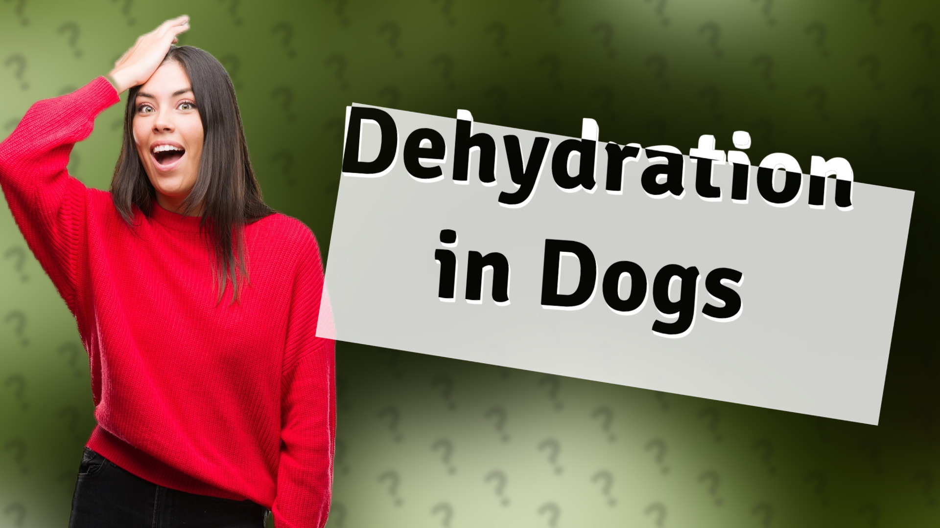 Dehydration in Dogs