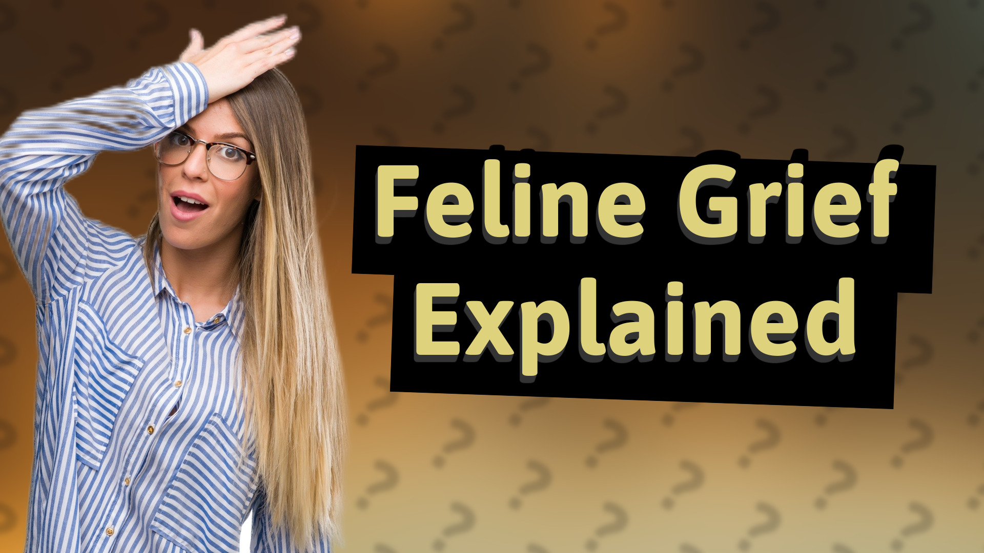 Feline Grief Explained