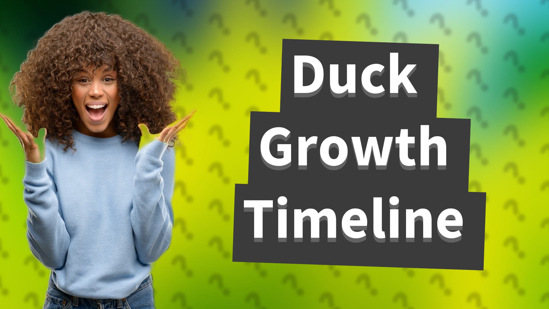 Duck Growth Timeline