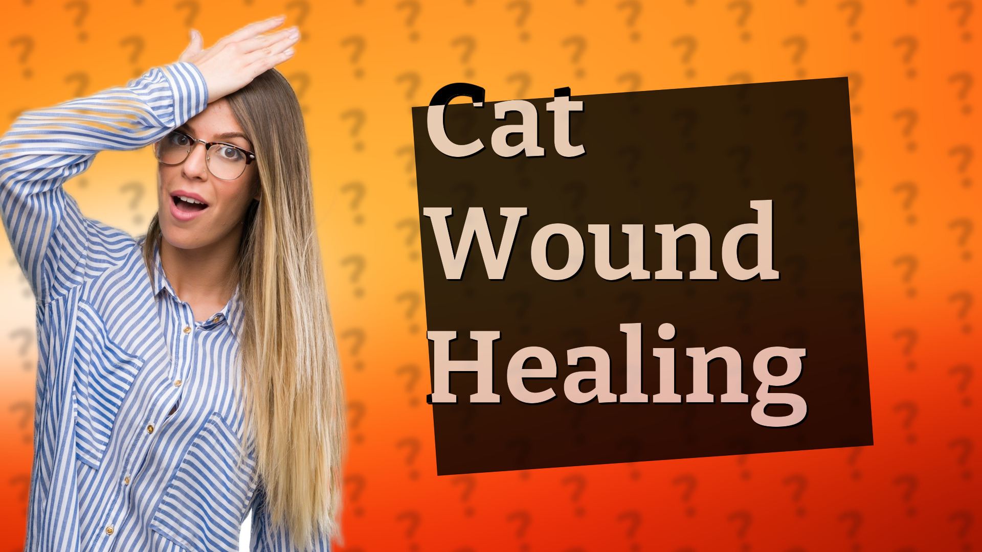Cat Wound Healing