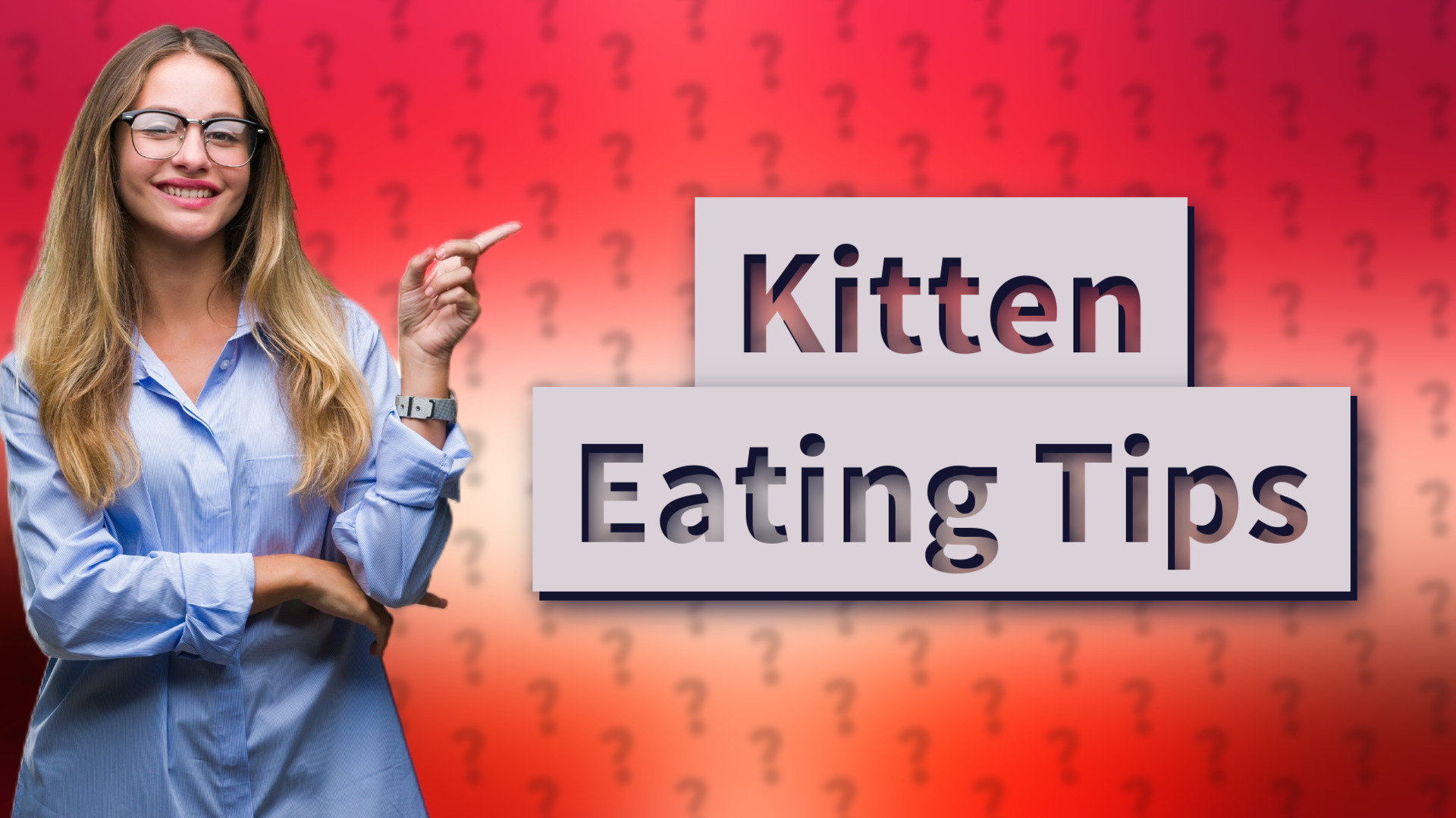 Kitten Eating Tips