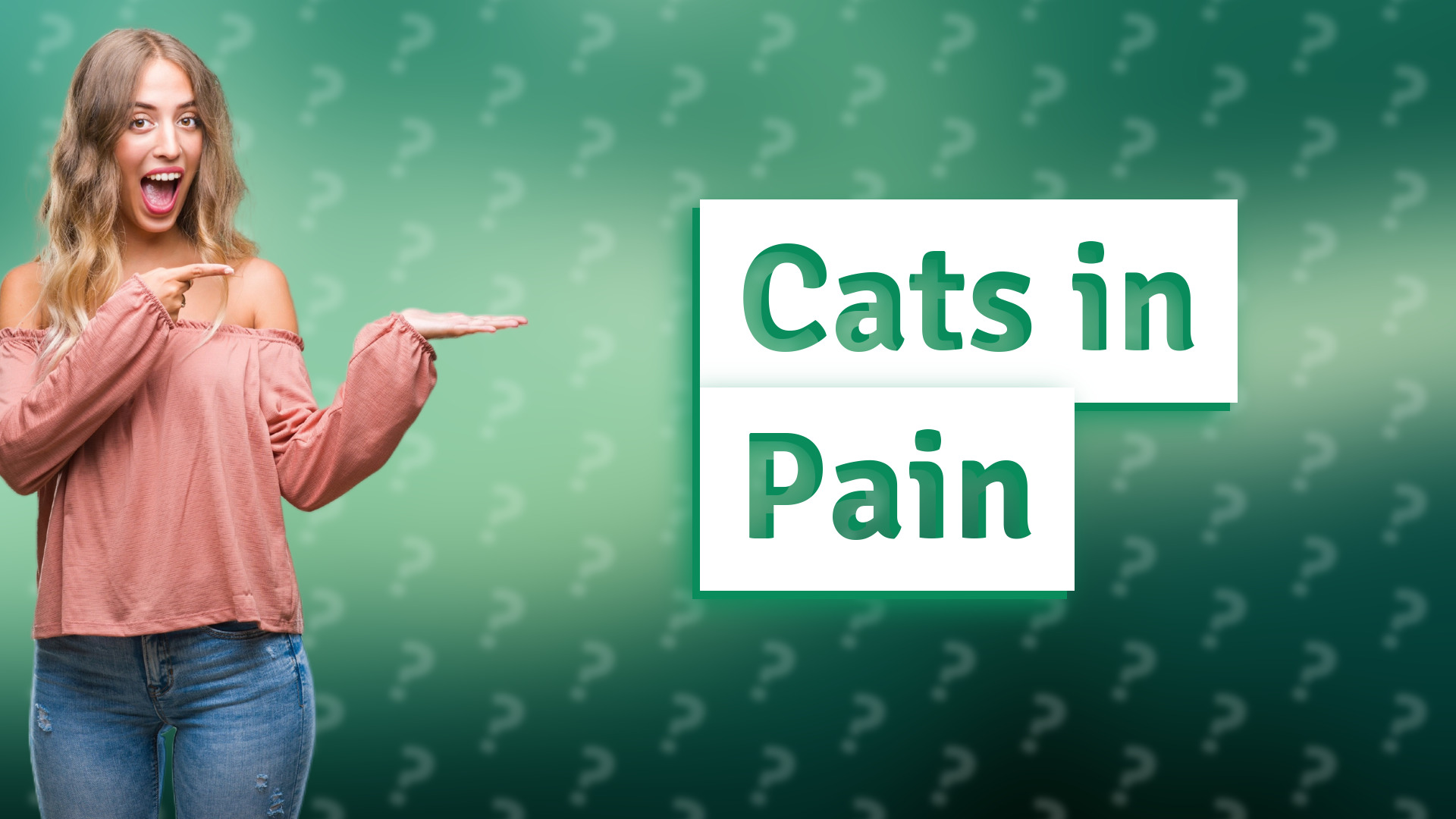 Cats in Pain