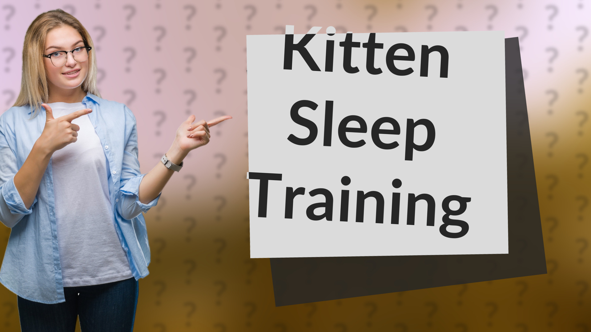 Kitten Sleep Training