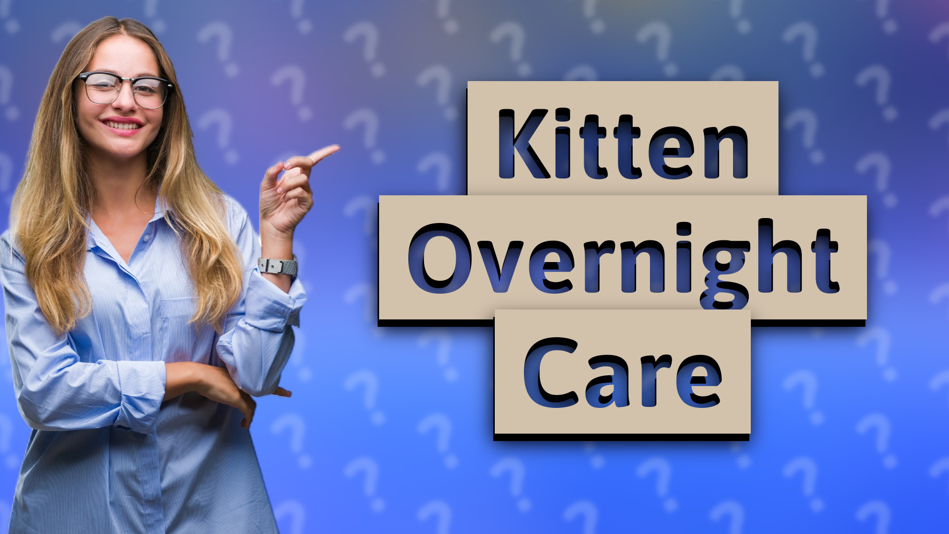 Kitten Overnight Care