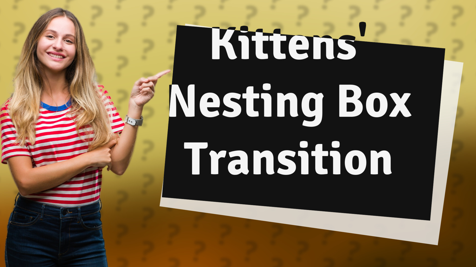 Kittens' Nesting Box Transition