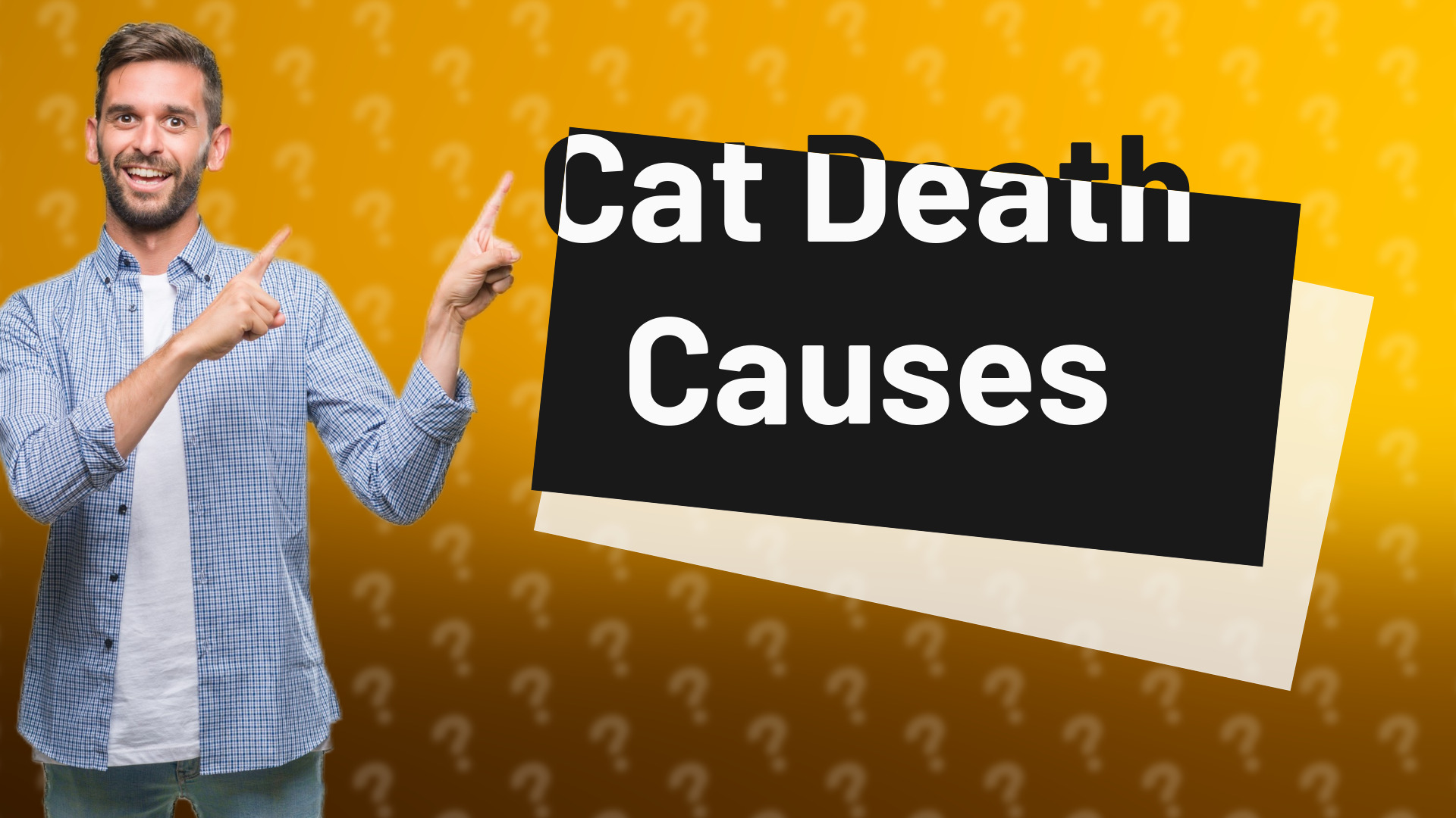 Cat Death Causes