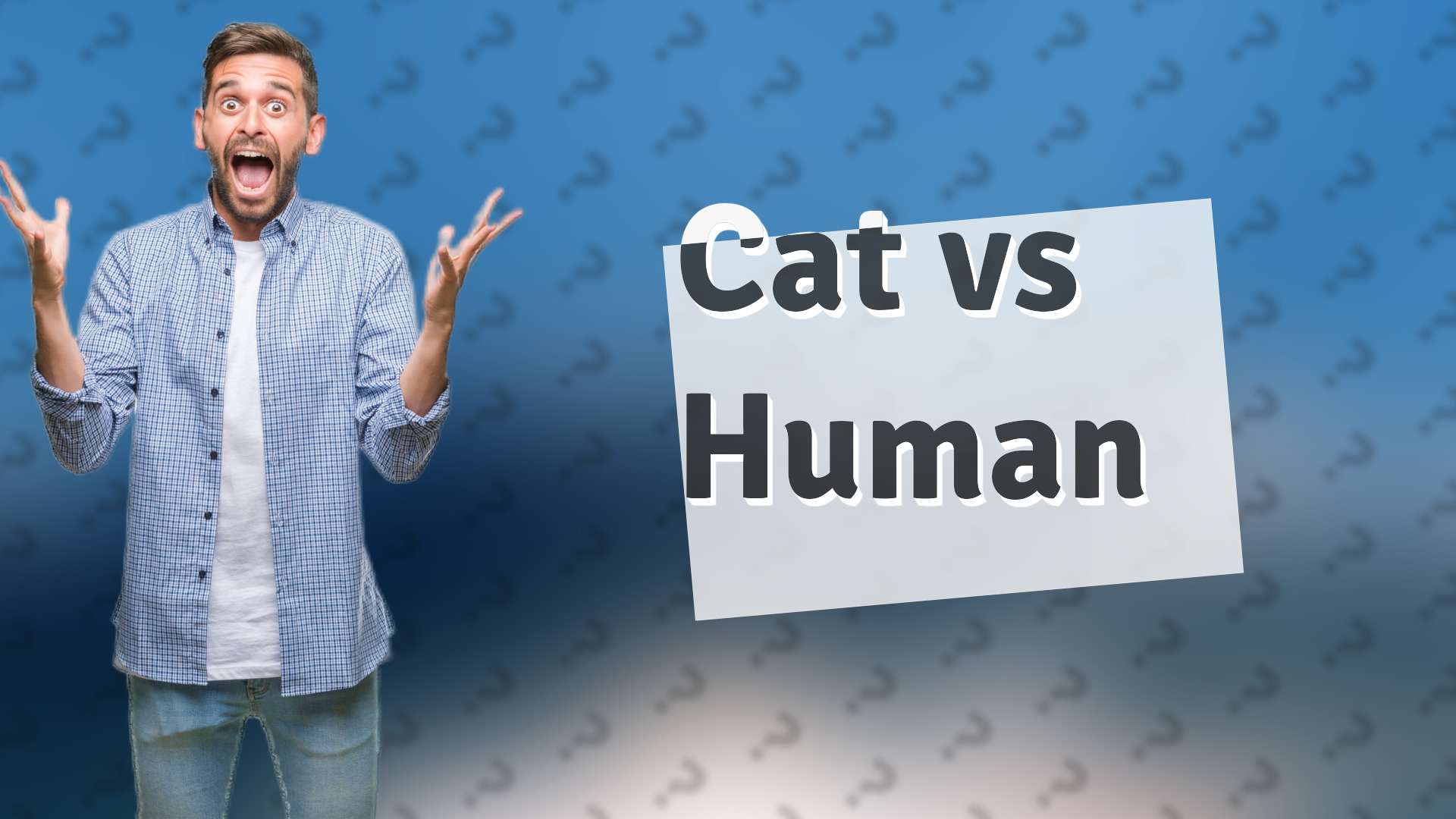 Cat vs Human