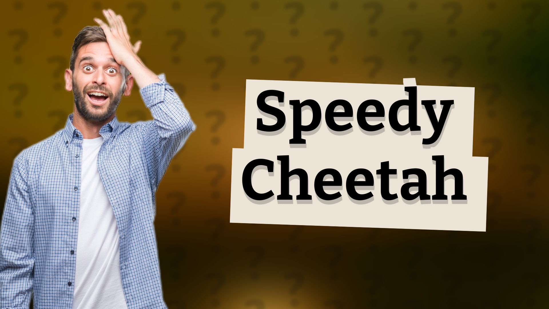 Speedy Cheetah