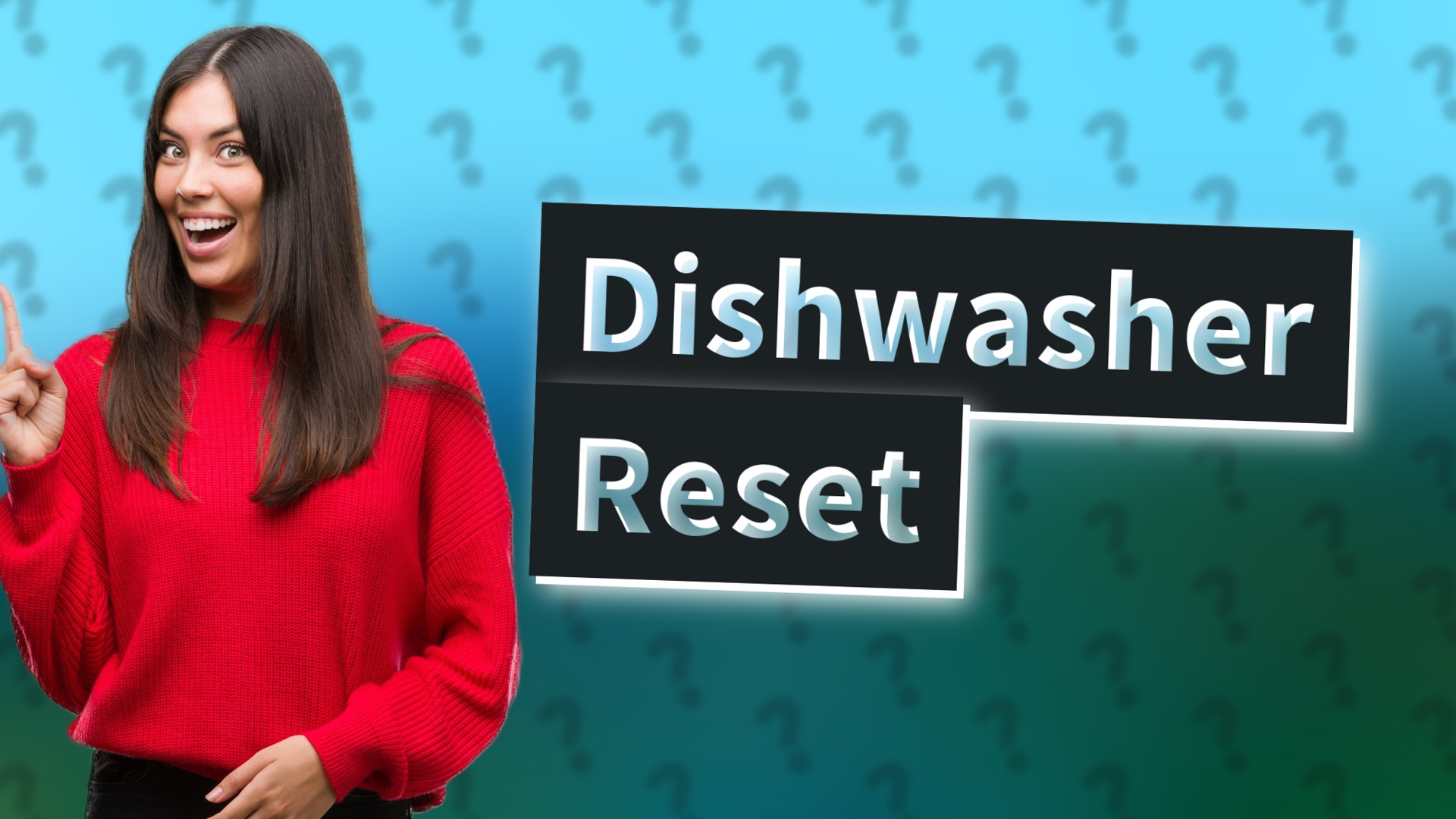 Dishwasher Reset