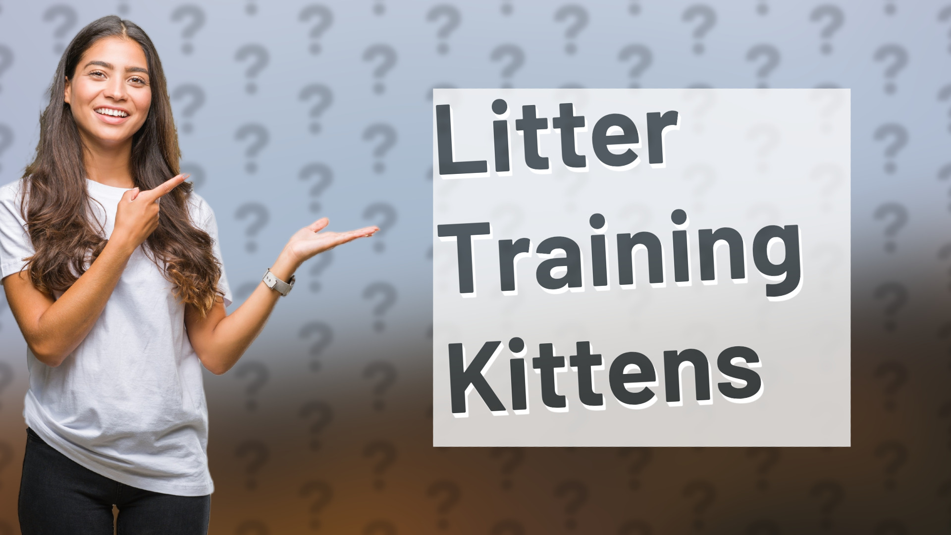 Litter Training Kittens