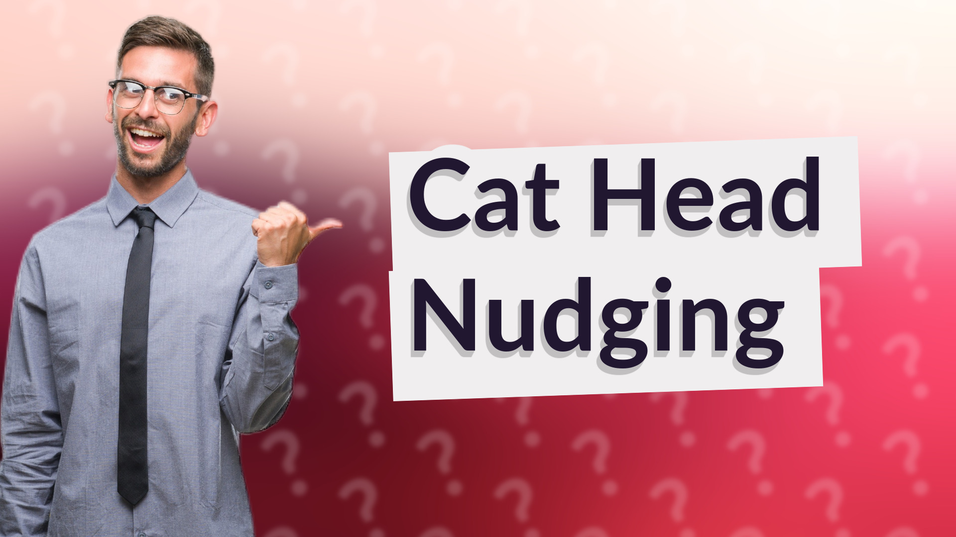 Cat Head Nudging