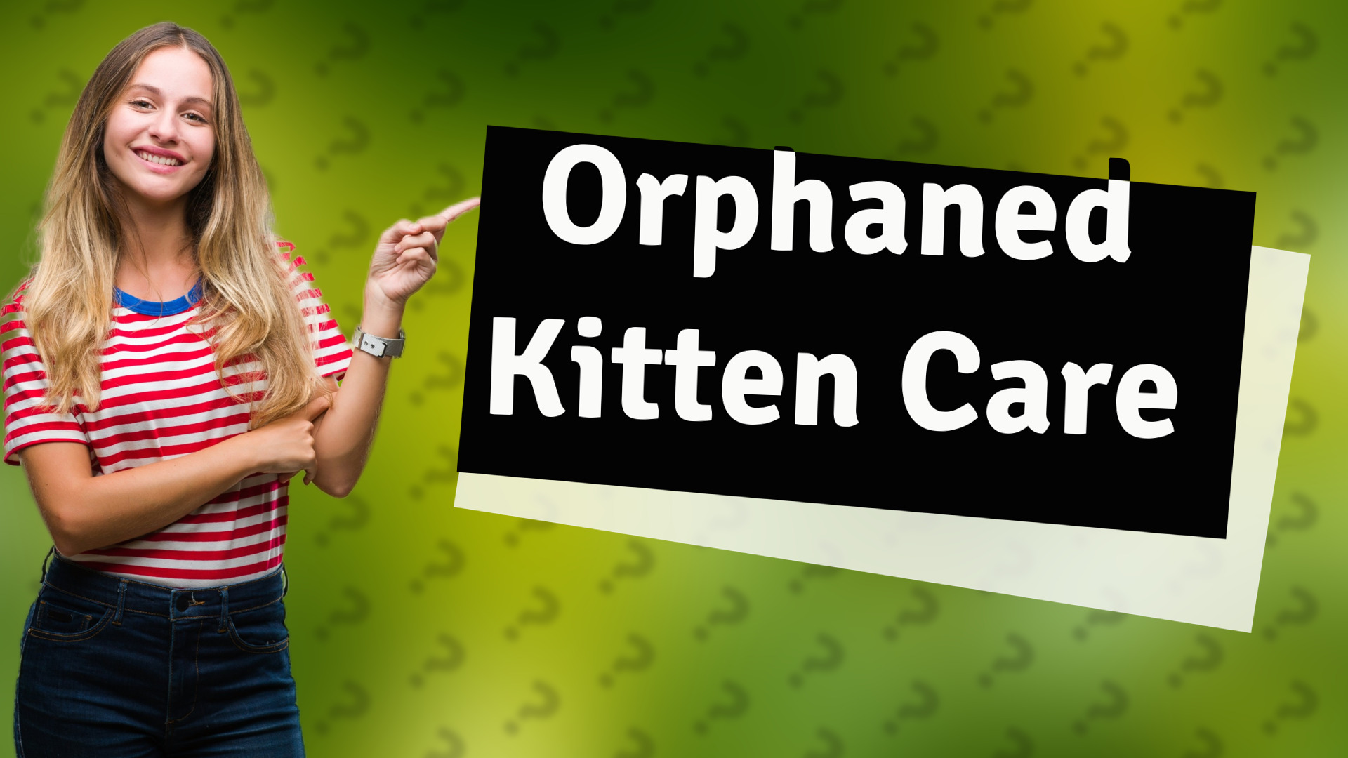 Orphaned Kitten Care
