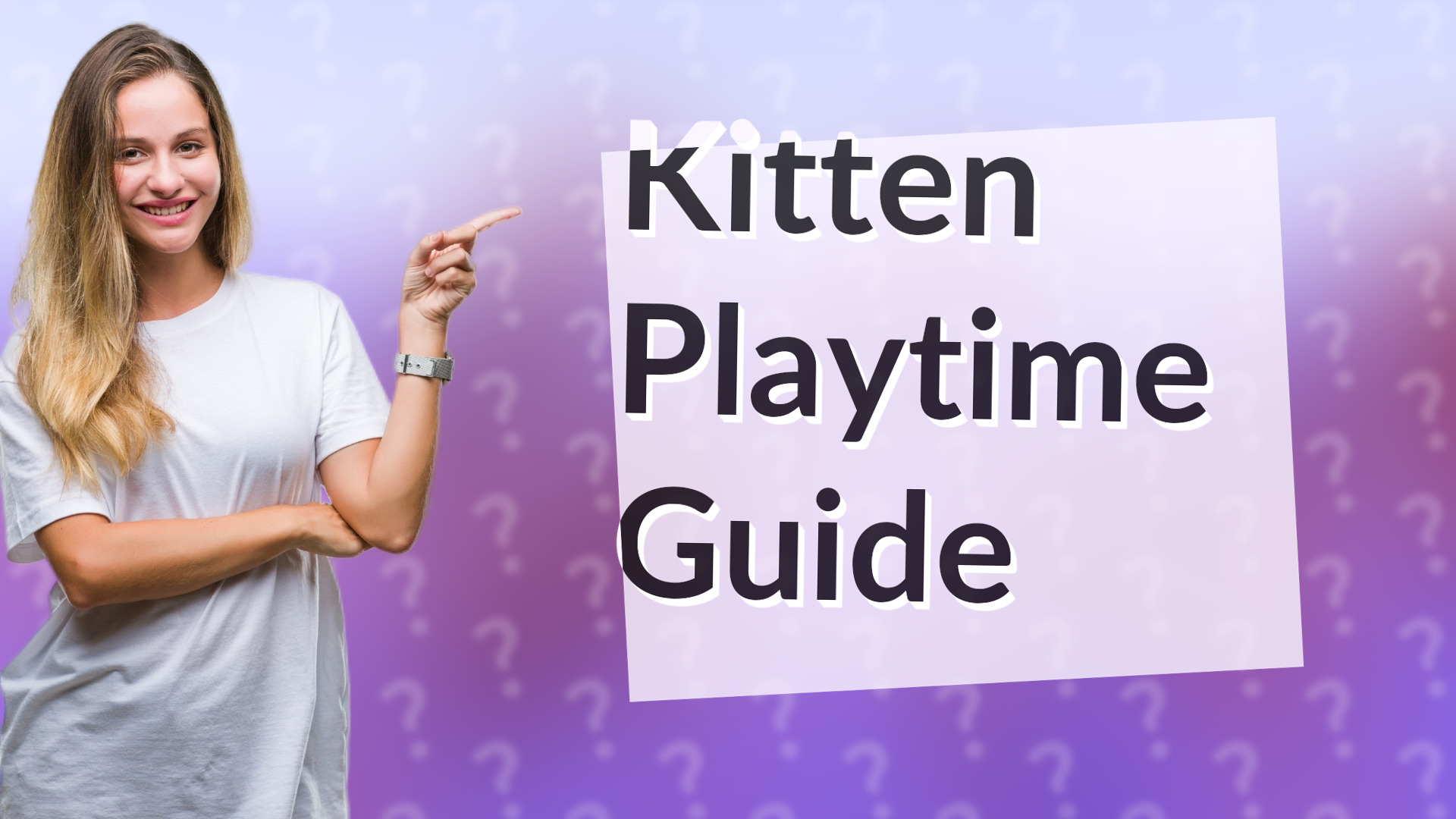Kitten Playtime Guide