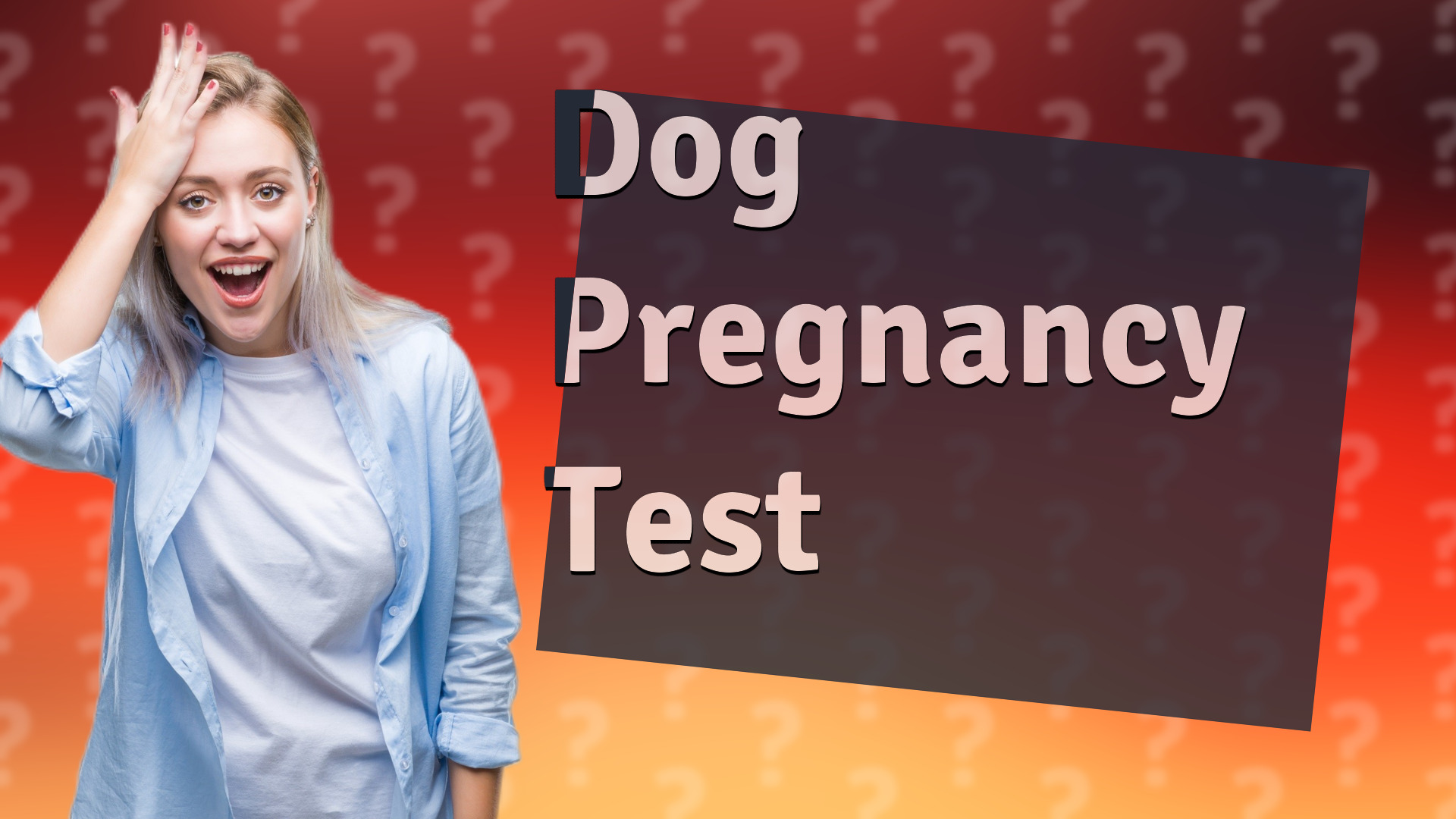 Dog Pregnancy Test