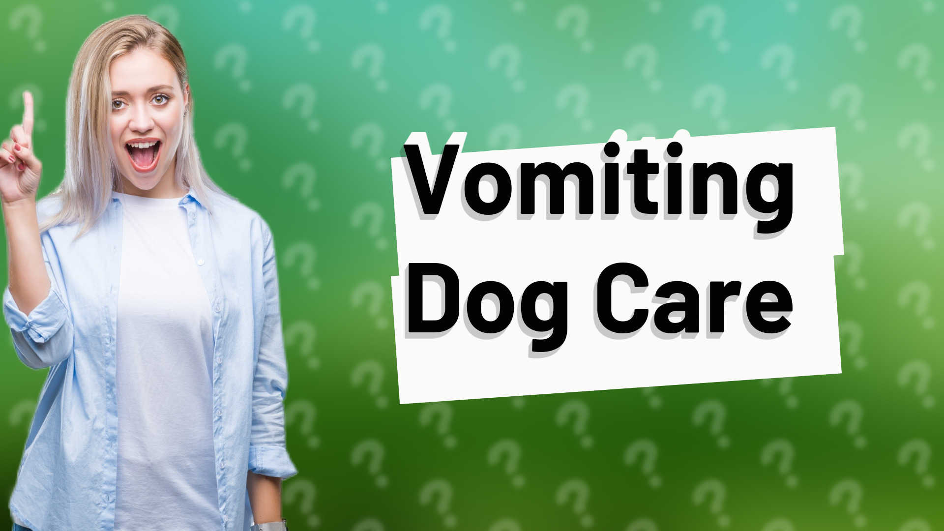 Vomiting Dog Care