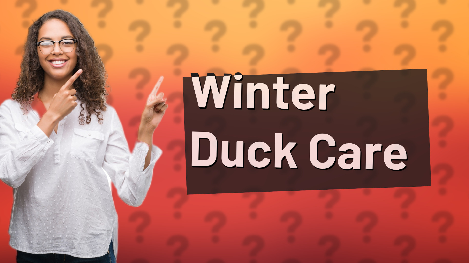 Winter Duck Care