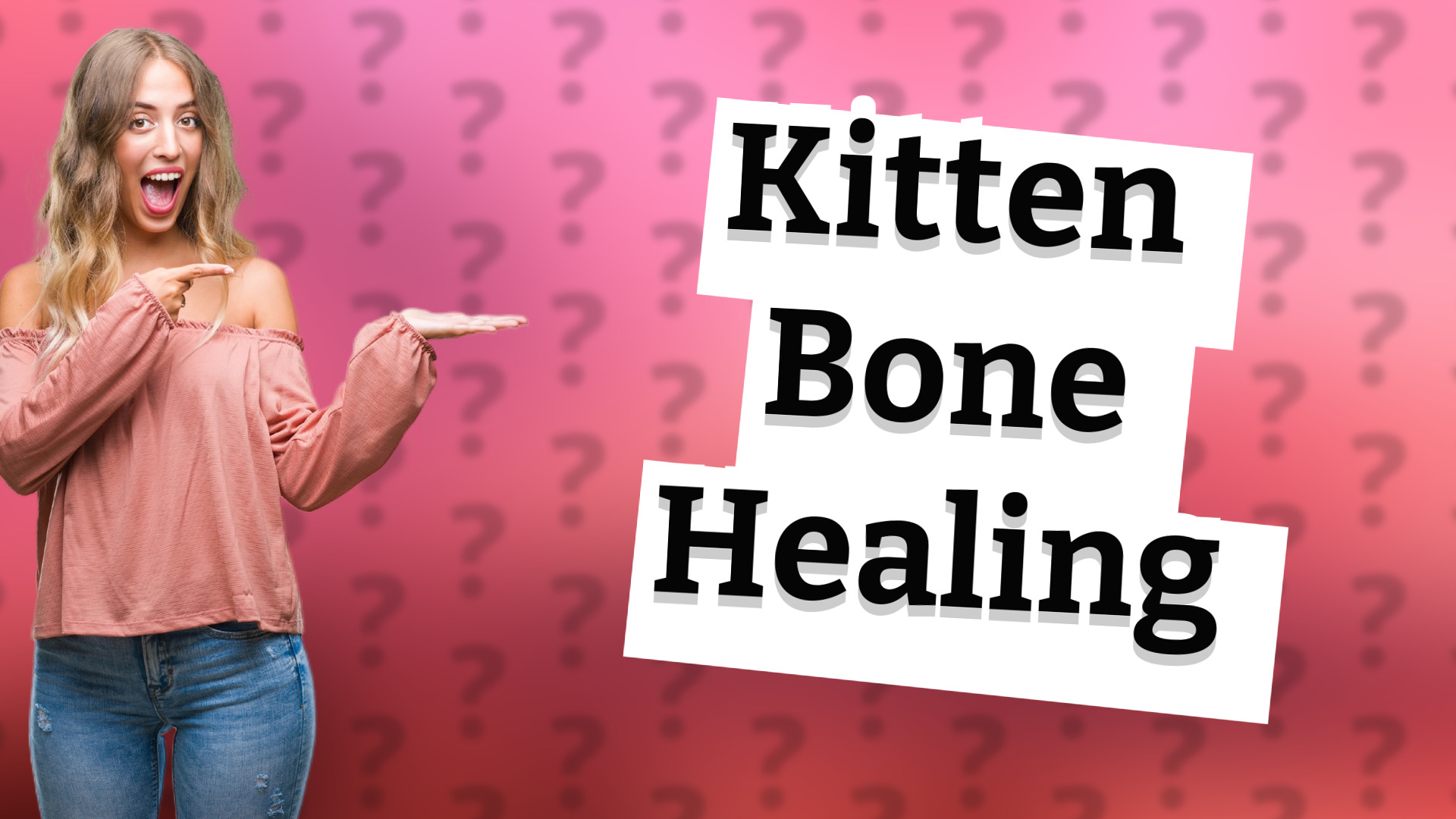 Kitten Bone Healing