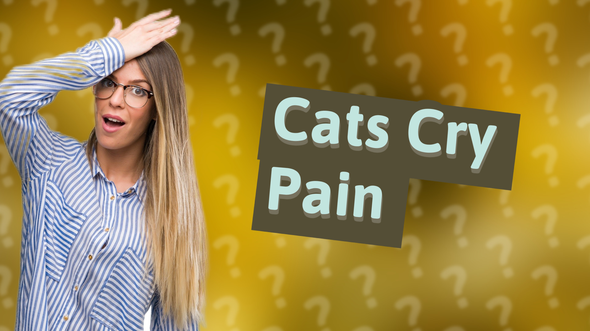 Cats Cry Pain