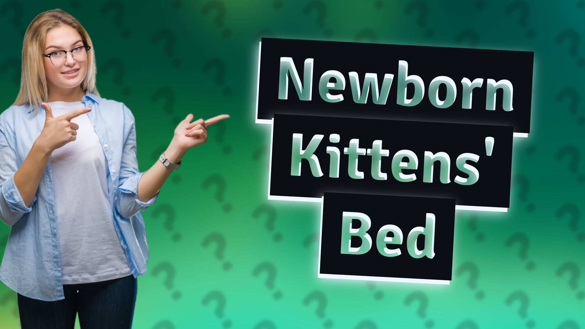 Newborn Kittens' Bed