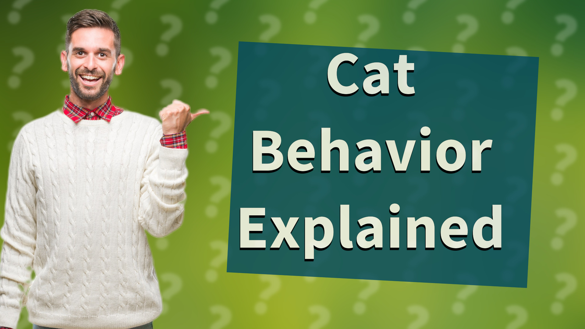 Cat Behavior Explained