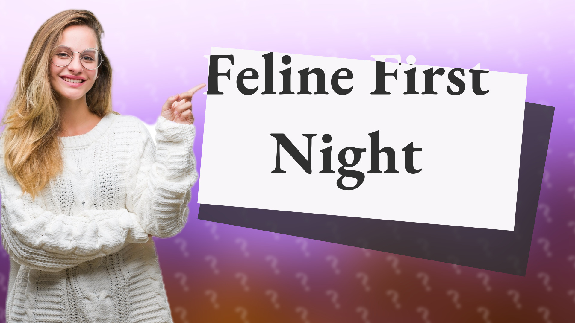 Feline First Night