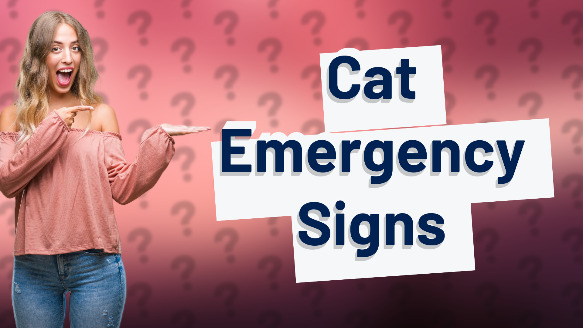 Cat Emergency Signs