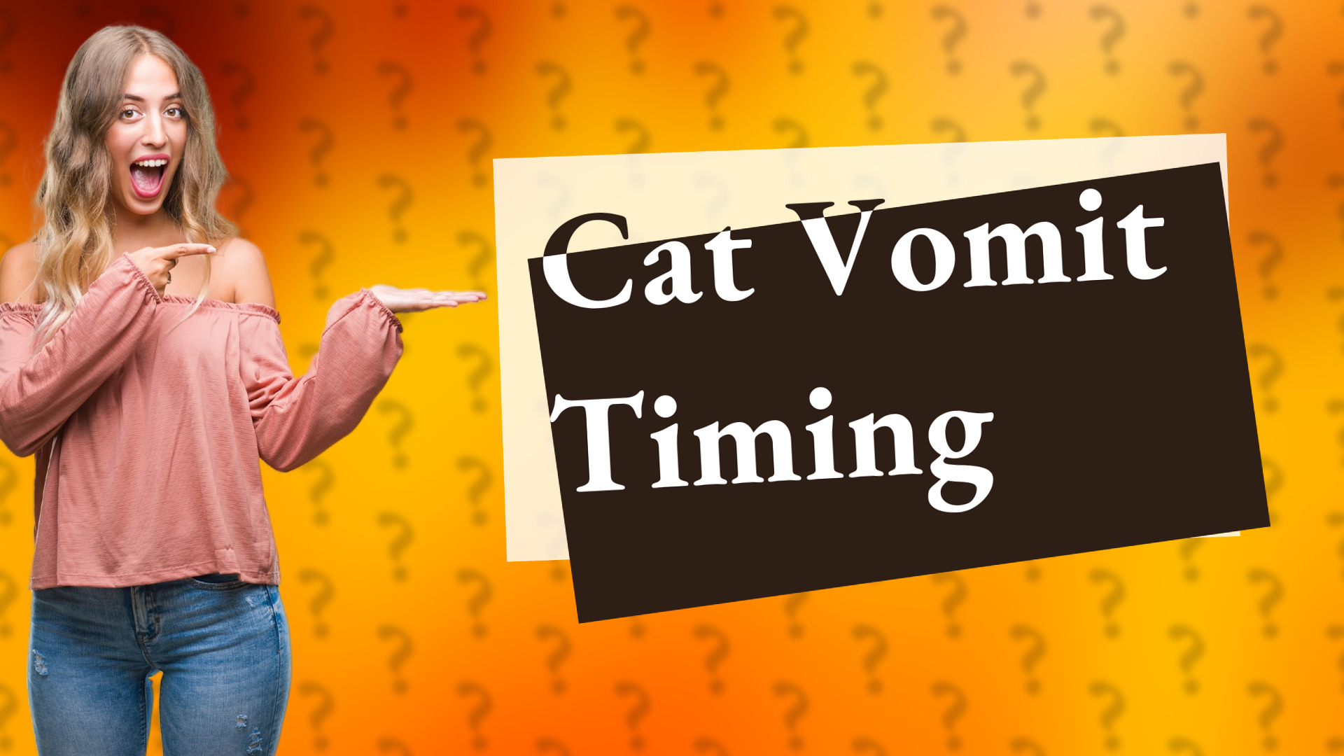 Cat Vomit Timing