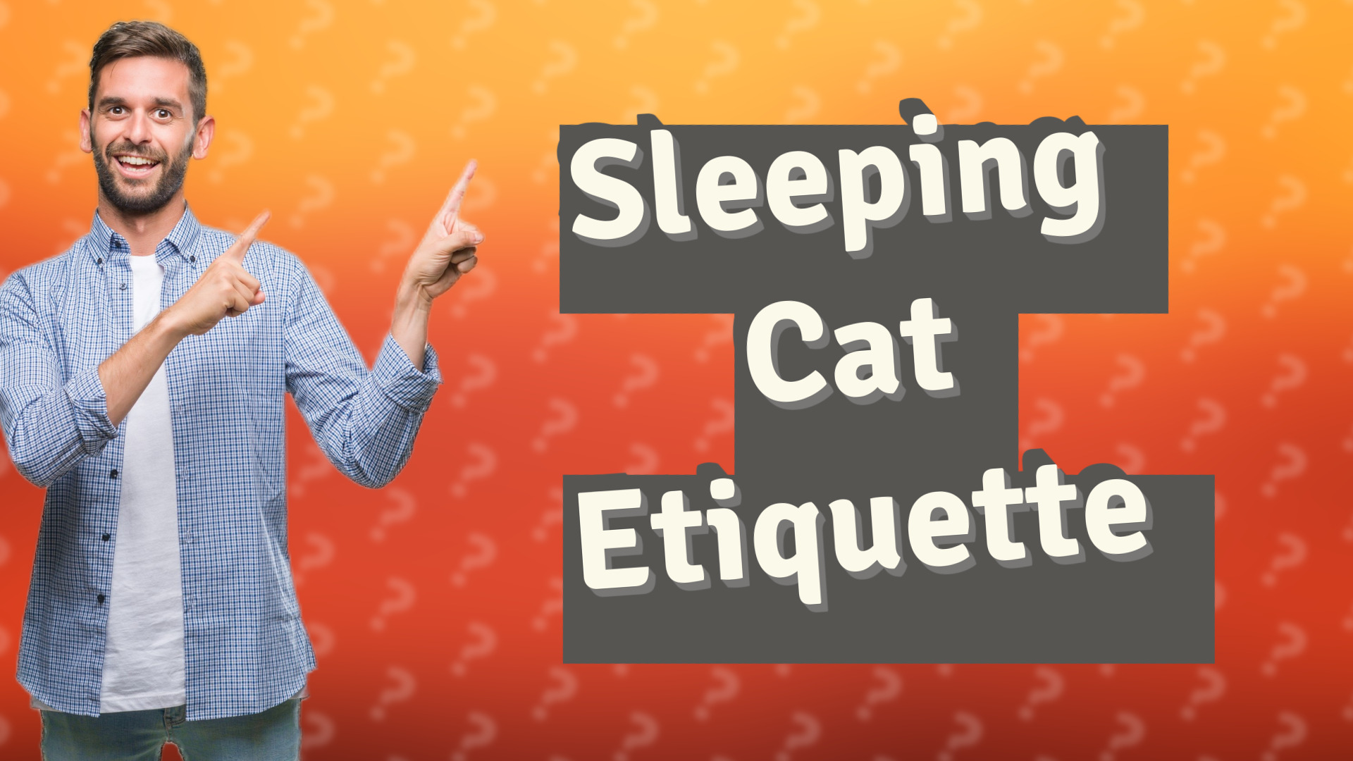 Sleeping Cat Etiquette