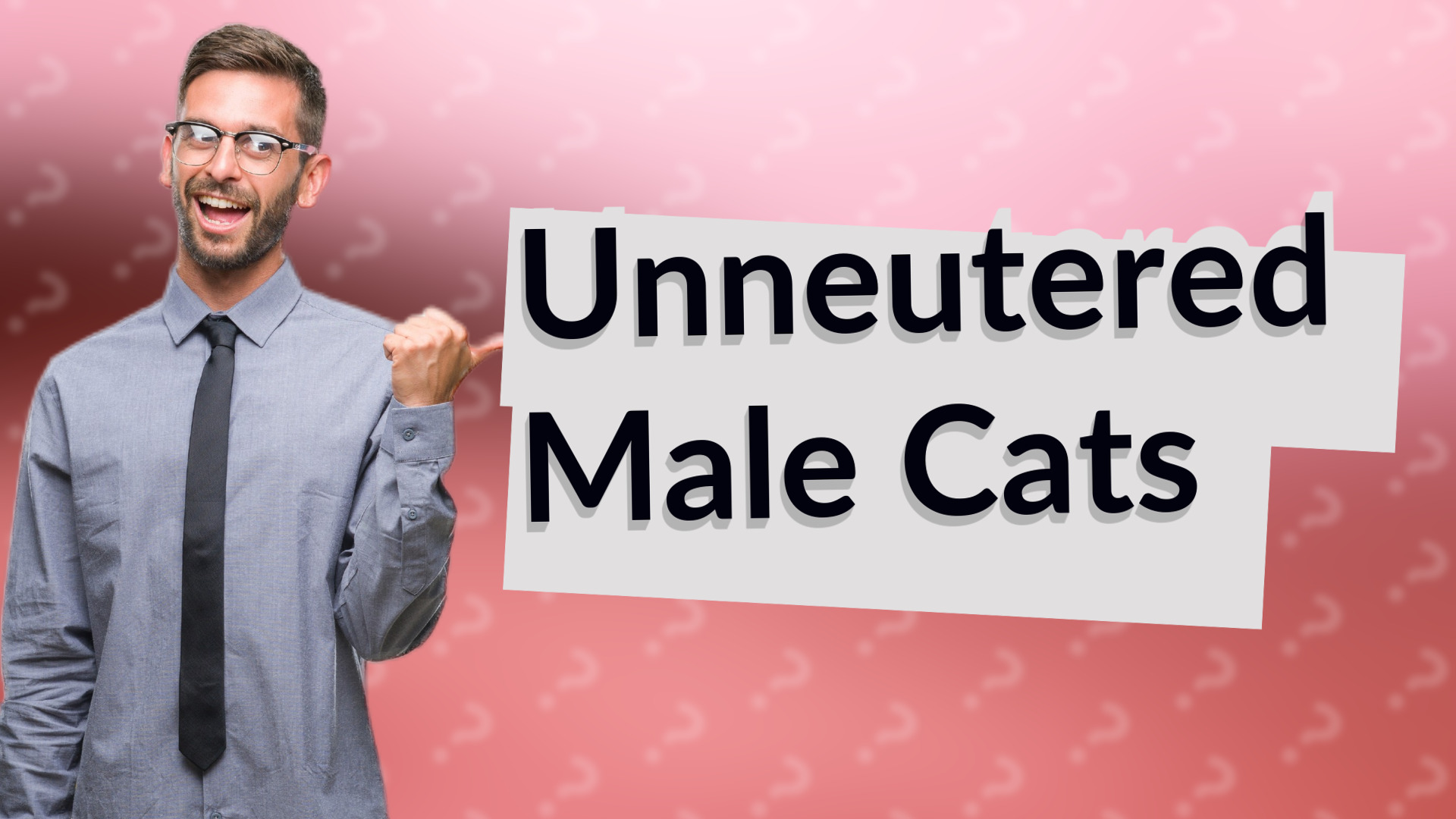 Unneutered Male Cats