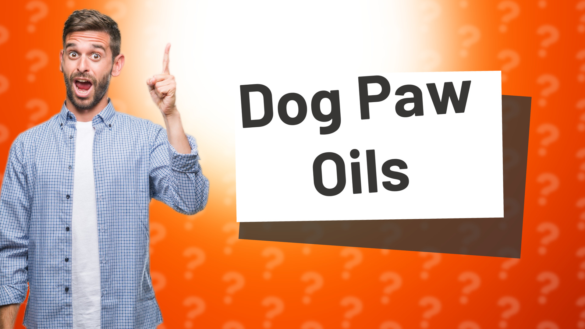 Dog Paw Oils