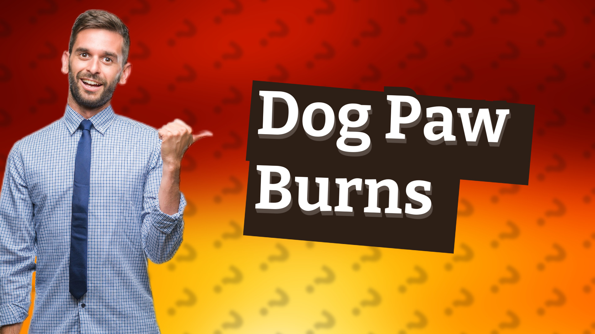 Dog Paw Burns