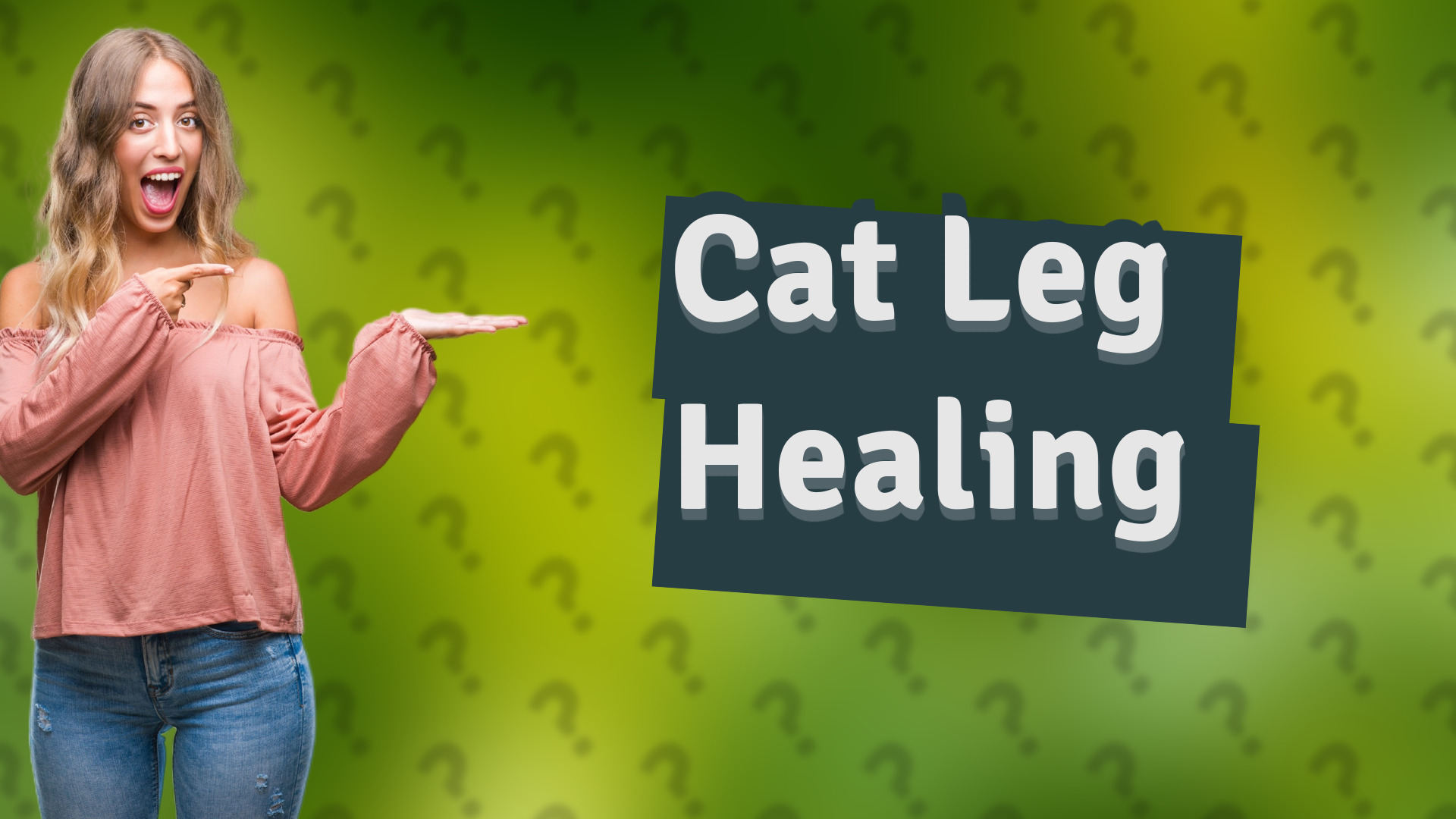 Cat Leg Healing