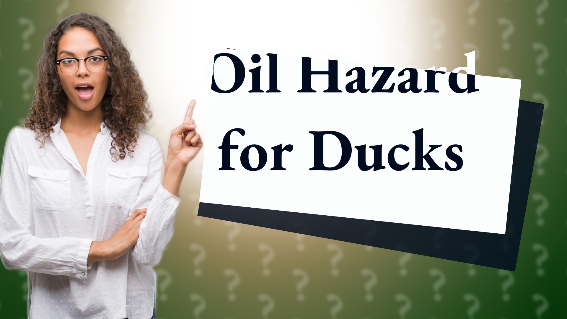 Oil Hazard for Ducks