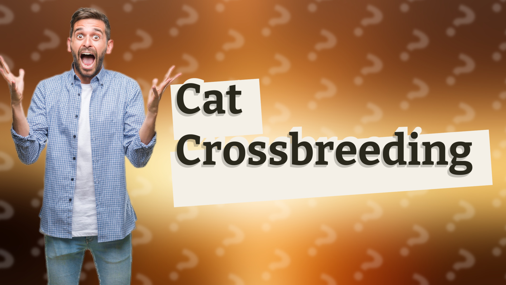 Cat Crossbreeding