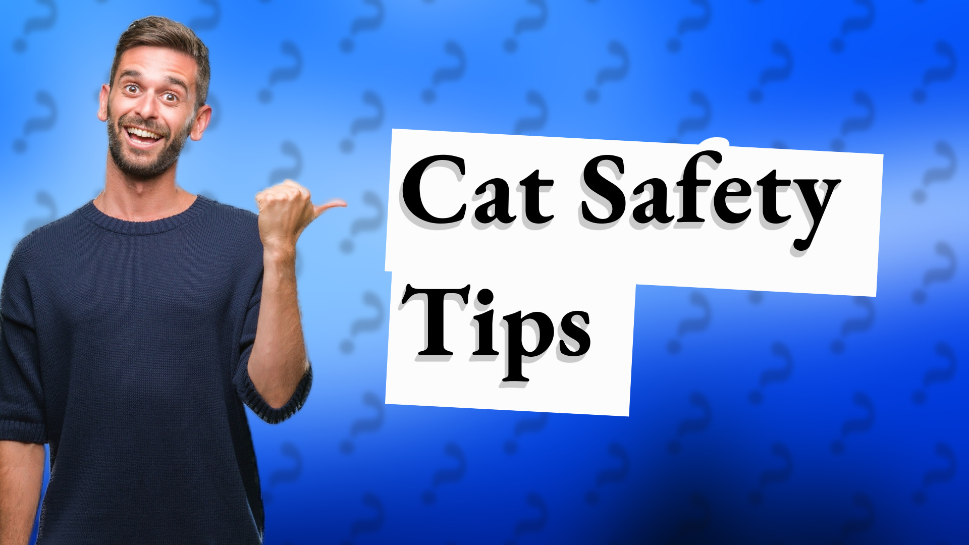 Cat Safety Tips