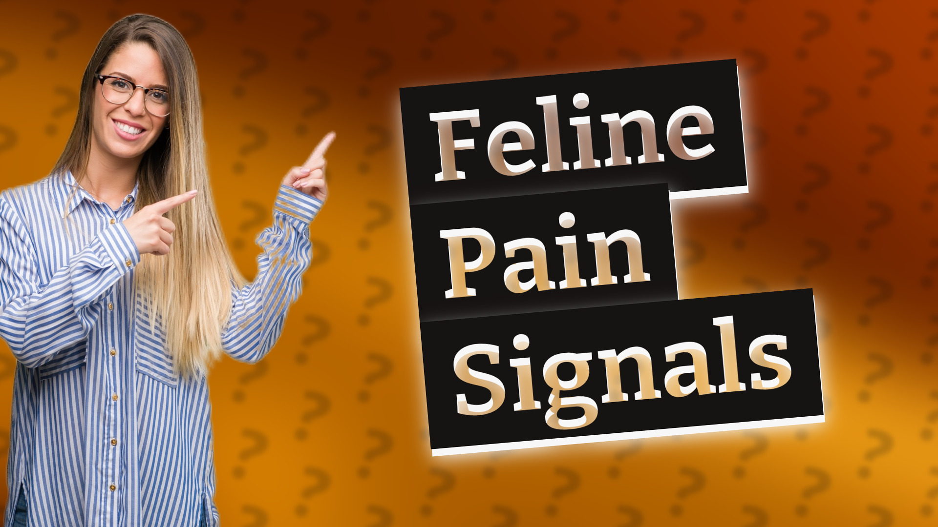 Feline Pain Signals