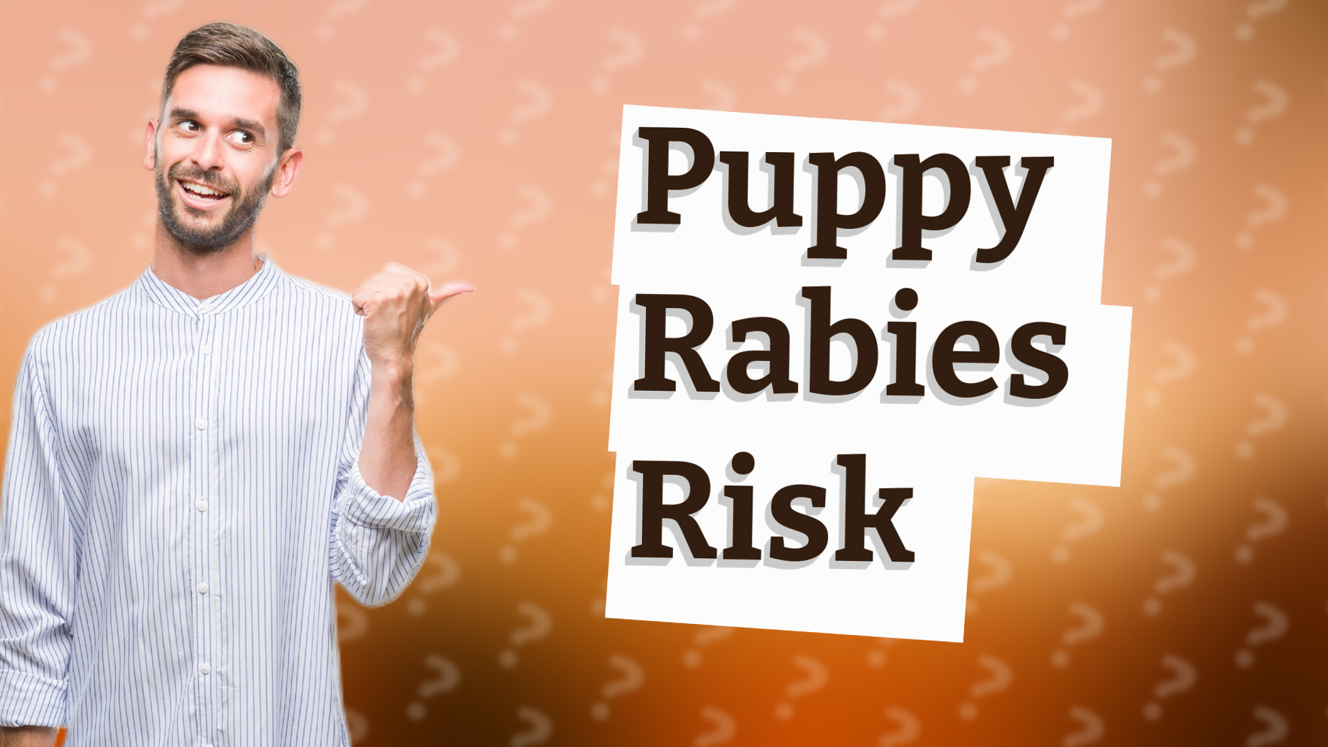 Puppy Rabies Risk