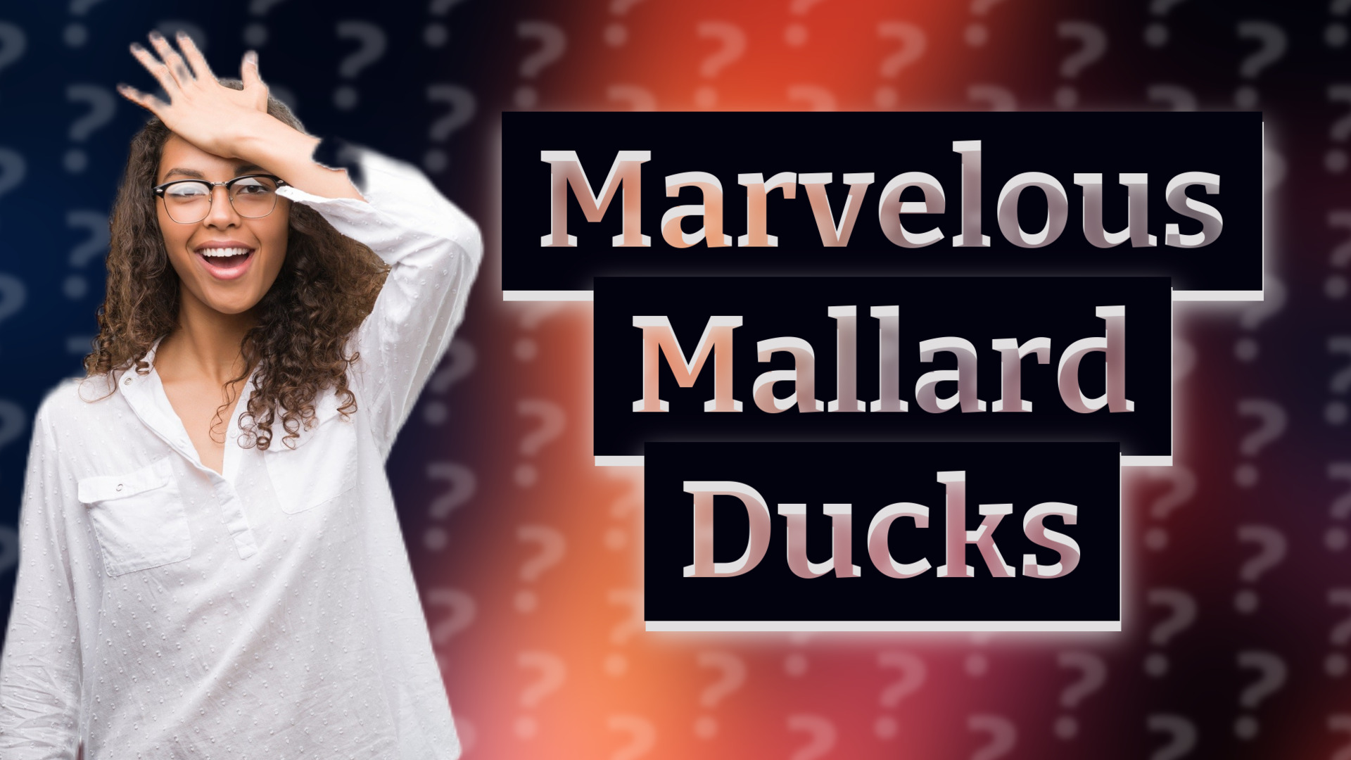 Marvelous Mallard Ducks
